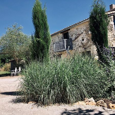 Le Gite De La Maison Des Chats - Gite En Quercy Saint-Amans-du-Pech Esterno foto