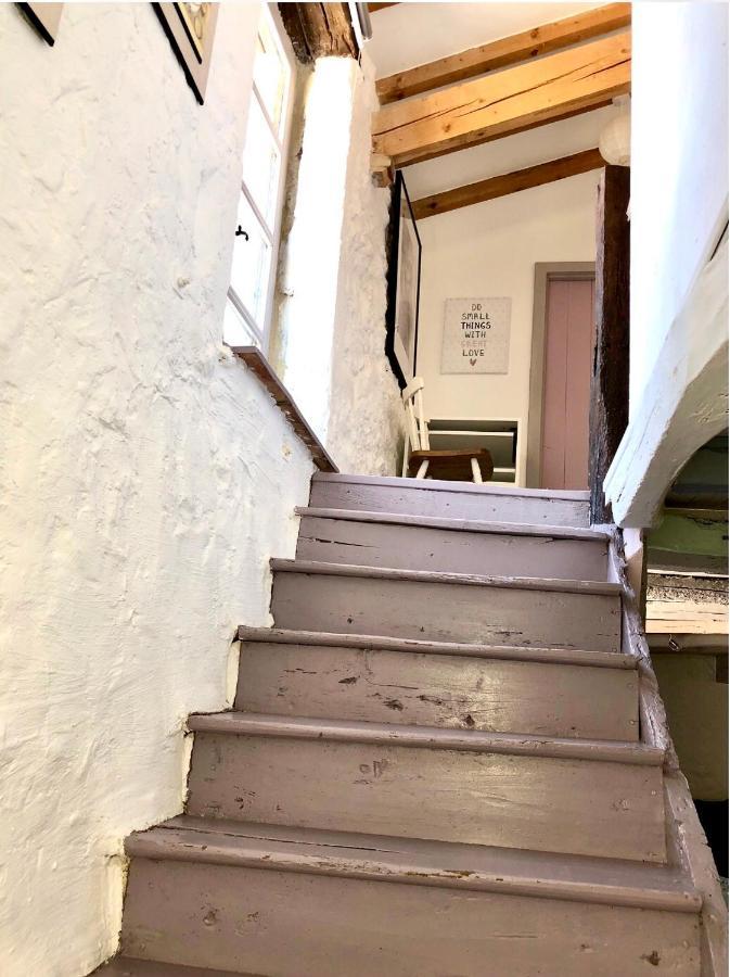Le Gite De La Maison Des Chats - Gite En Quercy Saint-Amans-du-Pech Esterno foto