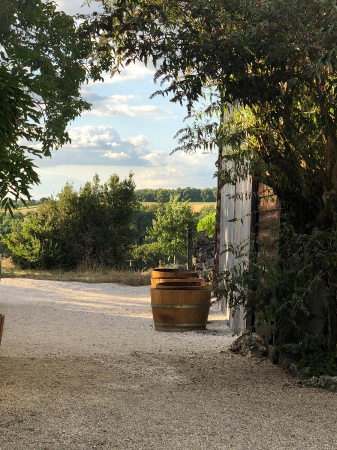 Le Gite De La Maison Des Chats - Gite En Quercy Saint-Amans-du-Pech Esterno foto